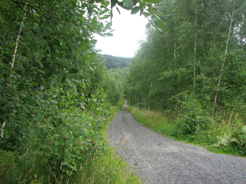 Foto 10